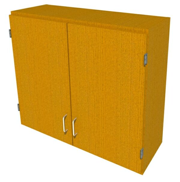 Fisherbrand Wood Wall Cabinet, 36 in. Wide