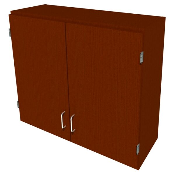 Fisherbrand Wood Wall Cabinet, 36 in. Wide