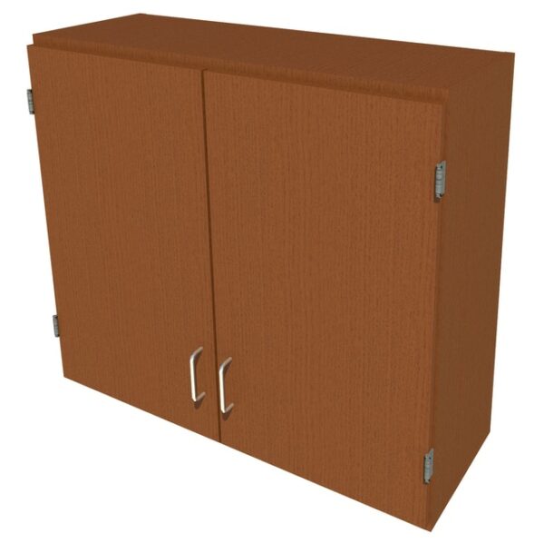 Fisherbrand Wood Wall Cabinet, 36 in. Wide