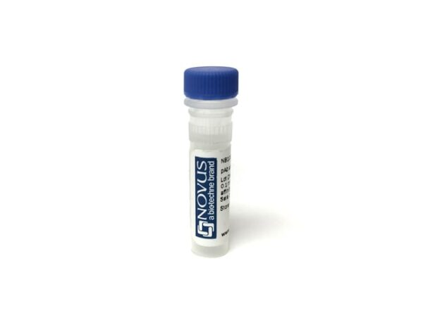 BAFFR/TNFRSF13C Antibody (9B9), Alexa Fluor 532, Novus Biologicals