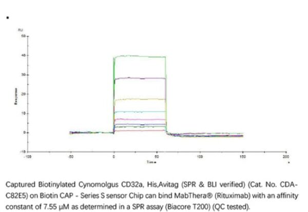ACROBiosystems ACROBiosystems Biotinylated Cynomolgus Fc gamma RIIA / CD32a Protein, His,Avitag (SPR & BLI verified)