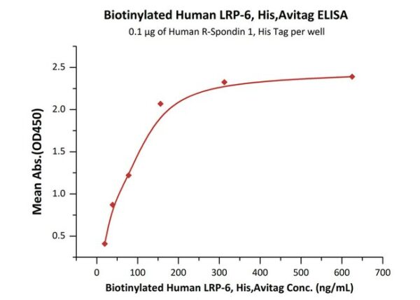 ACROBiosystems Biotinylated Human LRP-6, His,Avitag (LR6-H82E7) is expressed from human 293 cells (HEK293). It contains AA Ala 20 - Pro 630 (Accession # O75581-1 ).