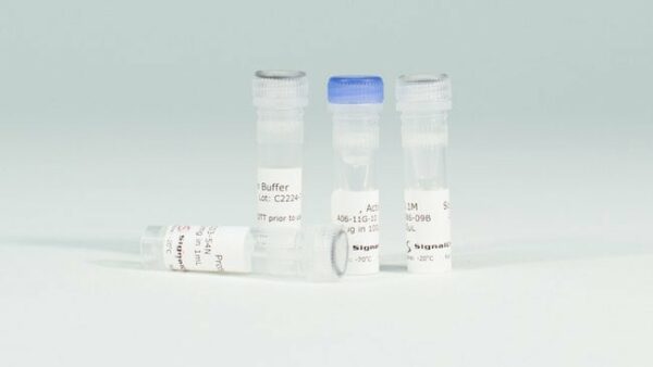 Promega SRC Kinase Enzyme System