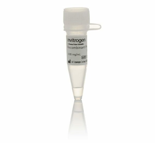 Invitrogen Human Osteocalcin Native Protein