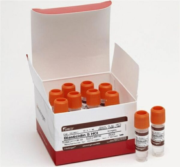 Gibco Blasticidin S HCl (10 mg/mL)