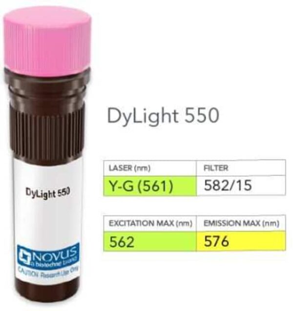 alpha-1A Adrenergic R/ADRA1A Antibody (518508) [DyLight 550], Novus Biologicals