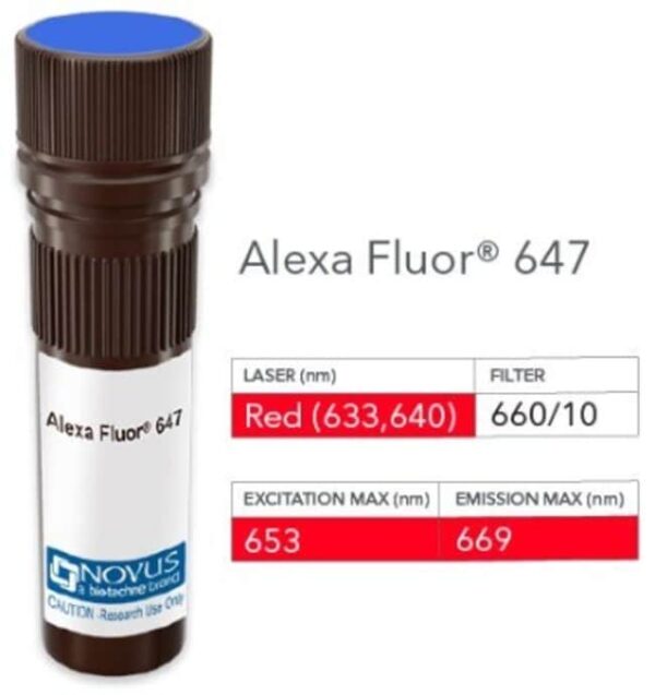 VEGFR1/Flt-1 Antibody (EWC), Alexa Fluor 647, Novus Biologicals