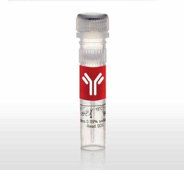 CXCL9 (MIG) Monoclonal Antibody (5H10F12), Invitrogen