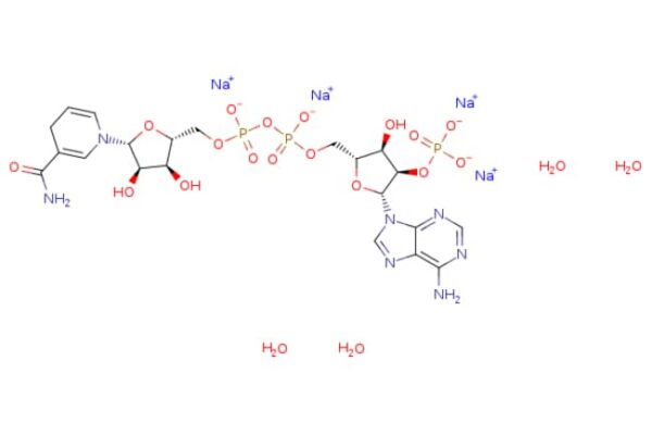 eMolecules​ Beta-nicotinamide adenine dinucleotide phosphate tetrasodium salt (reduced form) | 2646-71-1 | 1G | Purity: 95%