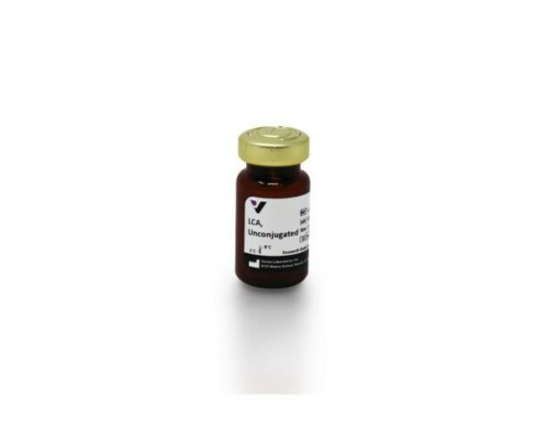 Vector Laboratories Lens Culinaris Agglutinin (LCA), Unconjugated, 25mg