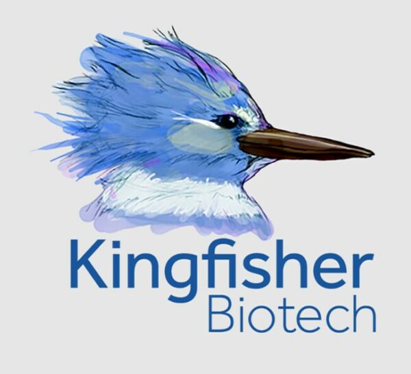Kingfisher Biotech Inc Human SCF  Recombinant Protein