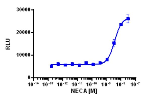 Eurofins Discoverx cAMP Hunter eXpress ADORA2B CHO-K1 GPCR Assay, 10-Plate Kit. (95-0041E2CP2L)