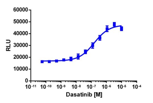 Eurofins Discoverx InCELL Hunter eXpress SIK1 Kinase Binding Assay, 10pl Kit. (96-0051E15CP0L)