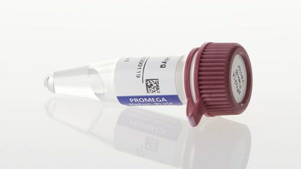 Promega pNLF1-C [CMV/Hygro] Vector