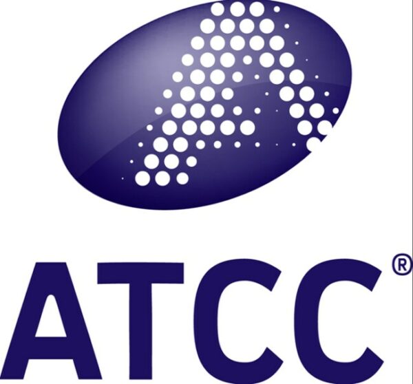 ATCC HCM-BROD-0011-C71; Cancer Model Primary; Glioblastoma Brain; Human (Homo sapiens)